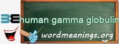 WordMeaning blackboard for human gamma globulin